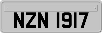 NZN1917