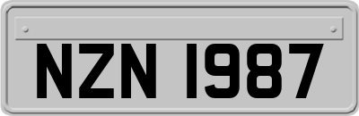 NZN1987