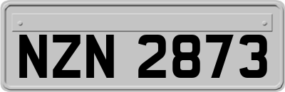 NZN2873
