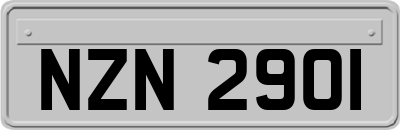 NZN2901