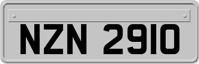 NZN2910