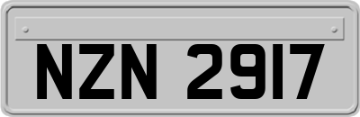NZN2917