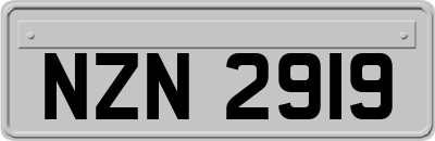 NZN2919
