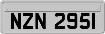 NZN2951