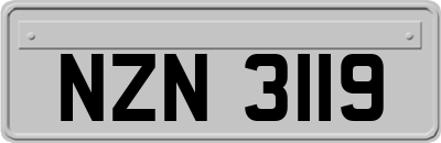 NZN3119