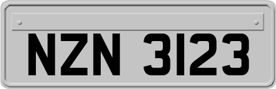 NZN3123