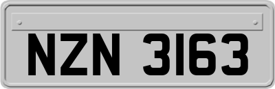 NZN3163