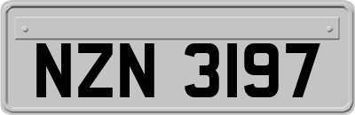 NZN3197