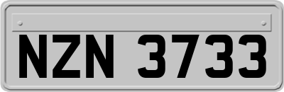 NZN3733
