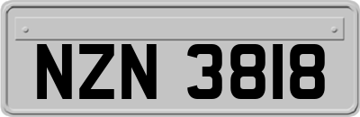 NZN3818