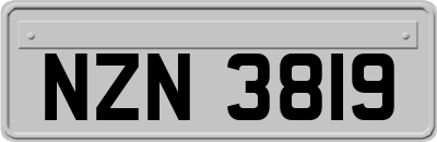 NZN3819