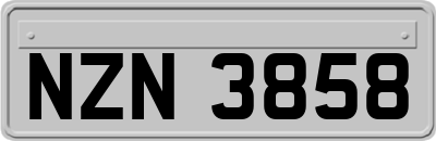 NZN3858