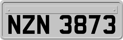 NZN3873