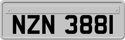 NZN3881