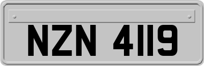 NZN4119