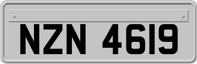NZN4619