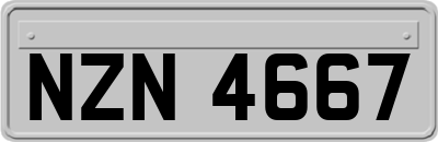 NZN4667