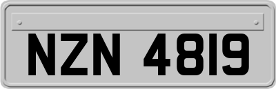 NZN4819