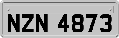 NZN4873
