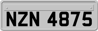 NZN4875