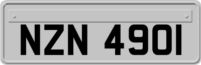 NZN4901