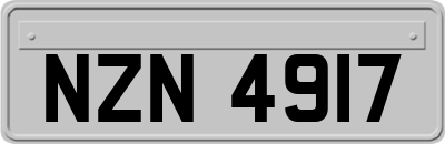 NZN4917