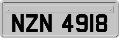 NZN4918
