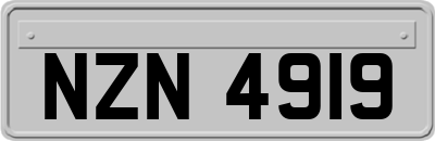 NZN4919