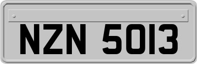 NZN5013