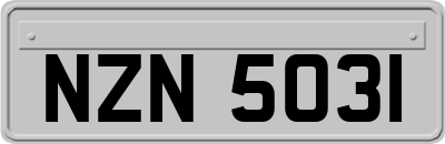 NZN5031