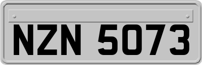 NZN5073