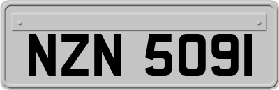 NZN5091