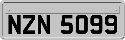 NZN5099