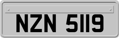 NZN5119