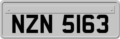 NZN5163