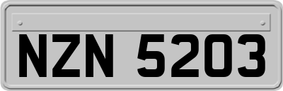 NZN5203