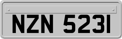 NZN5231
