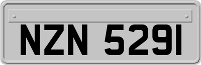 NZN5291