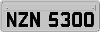 NZN5300