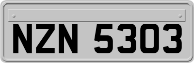 NZN5303