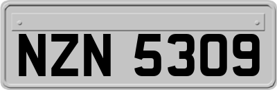 NZN5309