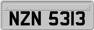 NZN5313