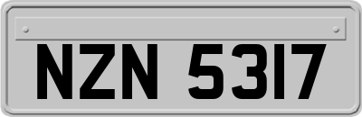 NZN5317