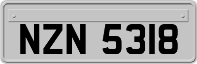 NZN5318