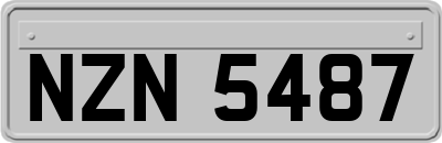 NZN5487