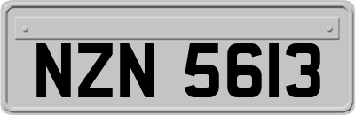 NZN5613