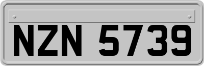 NZN5739