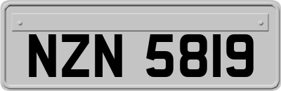 NZN5819