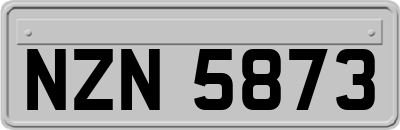 NZN5873