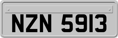 NZN5913